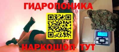 не бодяженный Камень-на-Оби