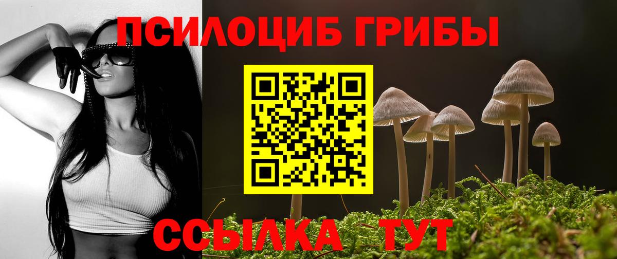 ТГК  Шебекино  Вход с VPN  ГАШ  Марихуана  Меф   Героин  Cocaine 