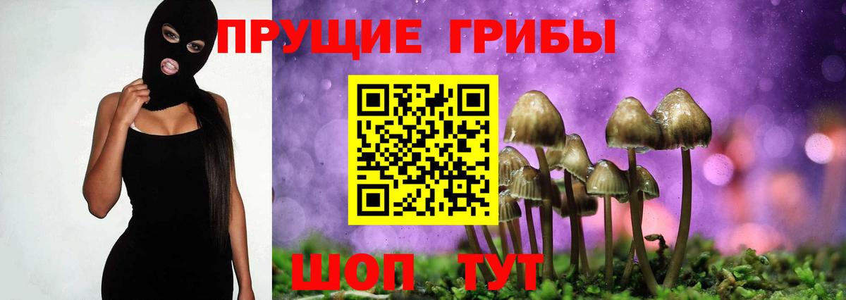 Шебекино  Псилоцибиновые грибы GOLDEN TEACHER  Галлюциногенные грибы Magic Shrooms  Вход с VPN 